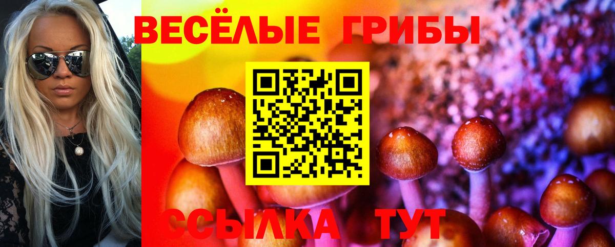 Псилоцибиновые грибы Magic Shrooms  Вход с VPN  Псилоцибиновые грибы мицелий  как найти   Назарово 